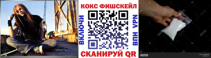 цена наркотик  Топки  Кокаин FishScale 