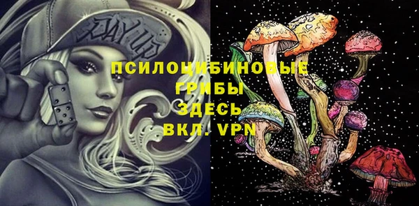 прущие грибы Нефтегорск
