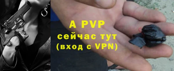 прущие грибы Нефтегорск