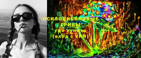 прущие грибы Нефтегорск