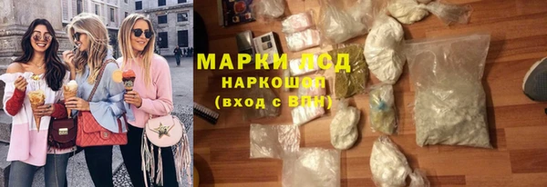 прущие грибы Нефтегорск