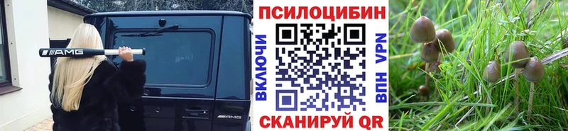 хочу наркоту  Топки  Псилоцибиновые грибы Magic Shrooms 